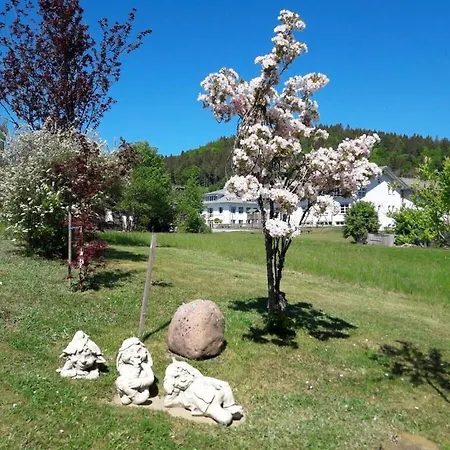 Schupp Wittenschwand