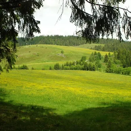 Schupp Wittenschwand