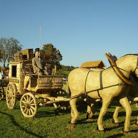 Lejlighed Schupp Wittenschwand